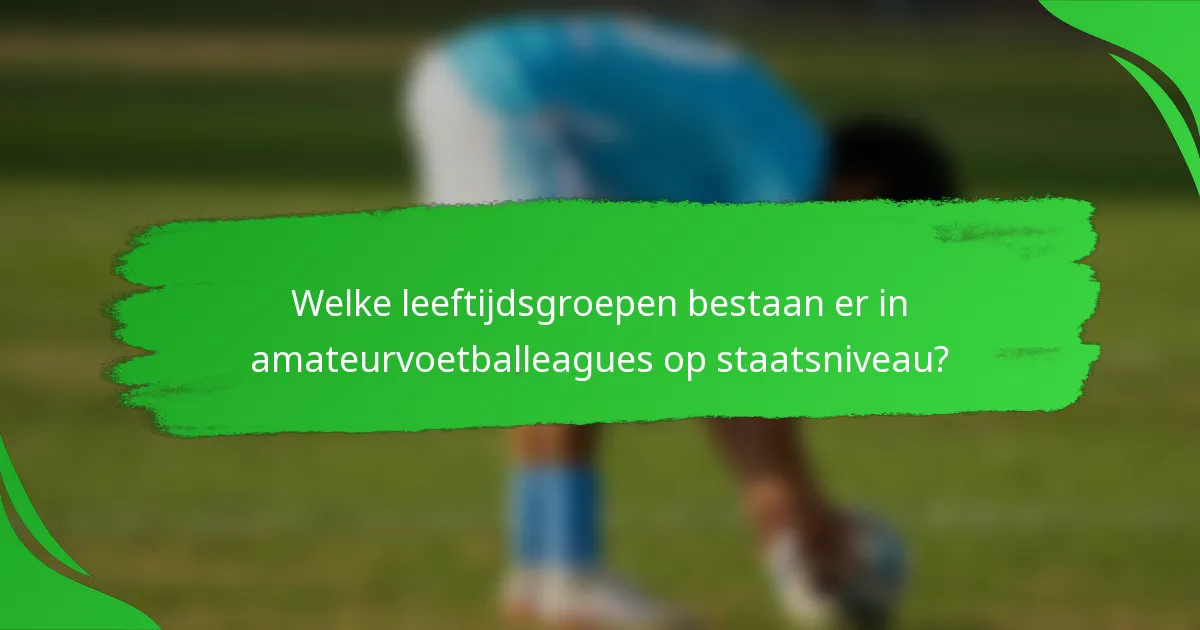 Welke leeftijdsgroepen bestaan er in amateurvoetballeagues op staatsniveau?